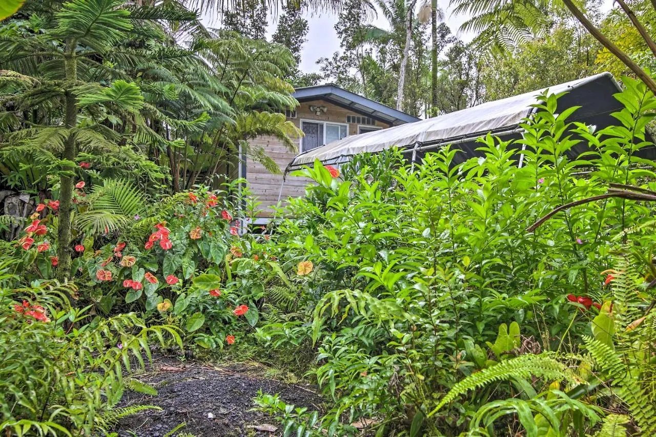 Idyllic Pahoa Paradise Hike, Swim And Explore!