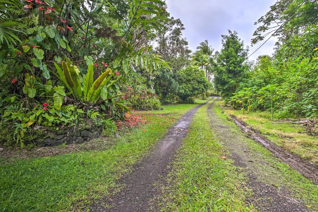 Idyllic Pahoa Paradise Hike, Swim And Explore! USA